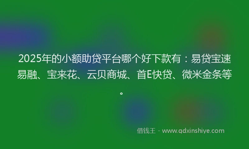 2025年的小额助贷平台哪个好下款有：易贷宝速易融、宝来花、云贝商城、首E快贷、微米金条等。