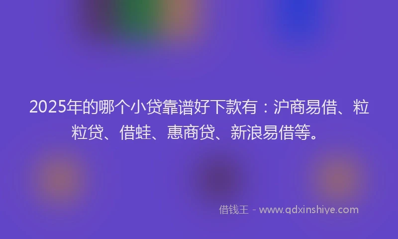 2025年的哪个小贷靠谱好下款有：沪商易借、粒粒贷、借蛙、惠商贷、新浪易借等。