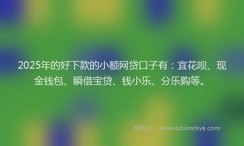 2025年的好下款的小额网贷口子有：宜花呗、现金钱包、瞬借宝贷、钱小乐、分乐购等。