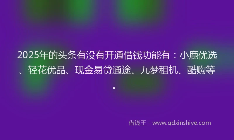 2025年的头条有没有开通借钱功能有：小鹿优选、轻花优品、现金易贷通途、九梦租机、酷购等。