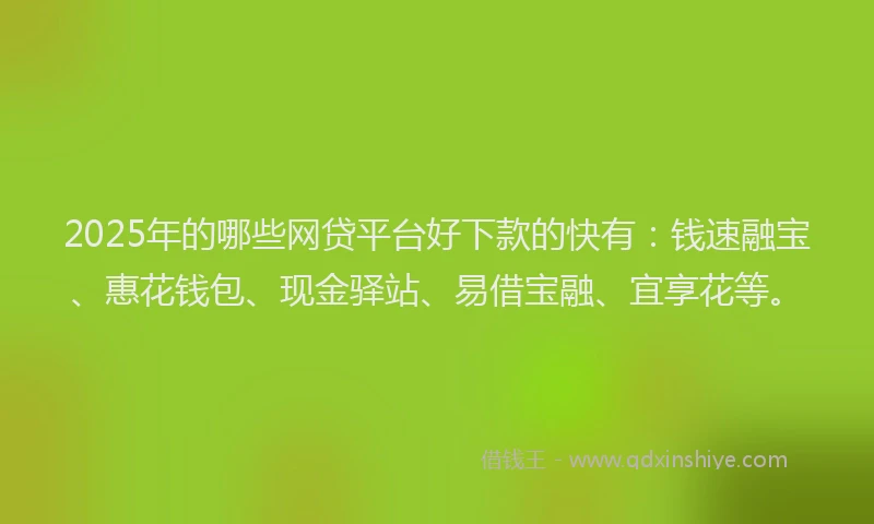 2025年的哪些网贷平台好下款的快有：钱速融宝、惠花钱包、现金驿站、易借宝融、宜享花等。