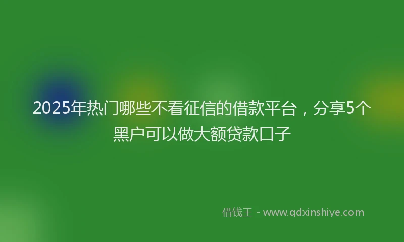 2025年热门哪些不看征信的借款平台，分享5个黑户可以做大额贷款口子