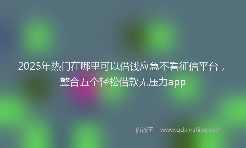 2025年热门在哪里可以借钱应急不看征信平台，整合五个轻松借款无压力app
