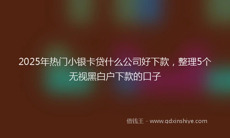 2025年热门小银卡贷什么公司好下款，整理5个无视黑白户下款的口子