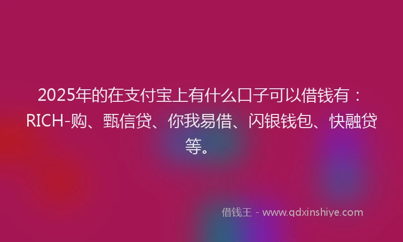 2025年的在支付宝上有什么口子可以借钱有：RICH-购、甄信贷、你我易借、闪银钱包、快融贷等。