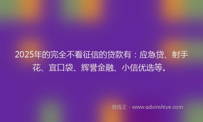 2025年的完全不看征信的贷款有：应急贷、射手花、宜口袋、辉誉金融、小信优选等。