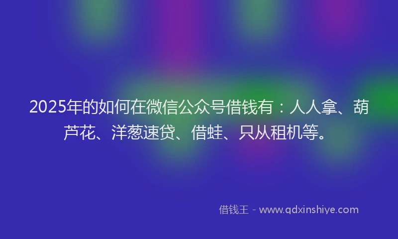 2025年的如何在微信公众号借钱有：人人拿、葫芦花、洋葱速贷、借蛙、只从租机等。