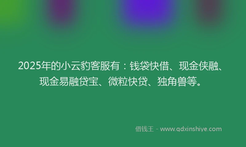 2025年的小云豹客服有：钱袋快借、现金侠融、现金易融贷宝、微粒快贷、独角兽等。