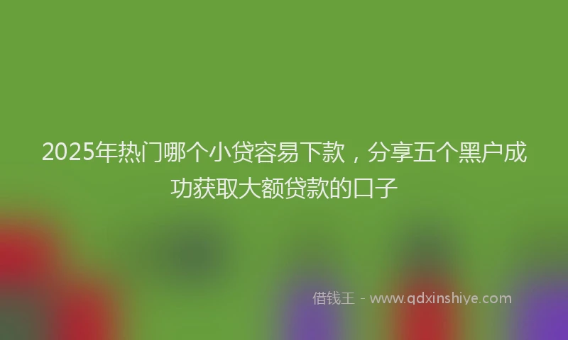 2025年热门哪个小贷容易下款，分享五个黑户成功获取大额贷款的口子