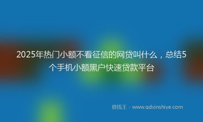 2025年热门小额不看征信的网贷叫什么，总结5个手机小额黑户快速贷款平台