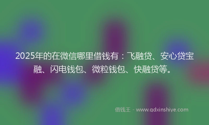 2025年的在微信哪里借钱有：飞融贷、安心贷宝融、闪电钱包、微粒钱包、快融贷等。