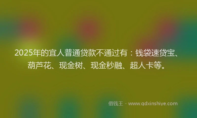 2025年的宜人普通贷款不通过有：钱袋速贷宝、葫芦花、现金树、现金秒融、超人卡等。