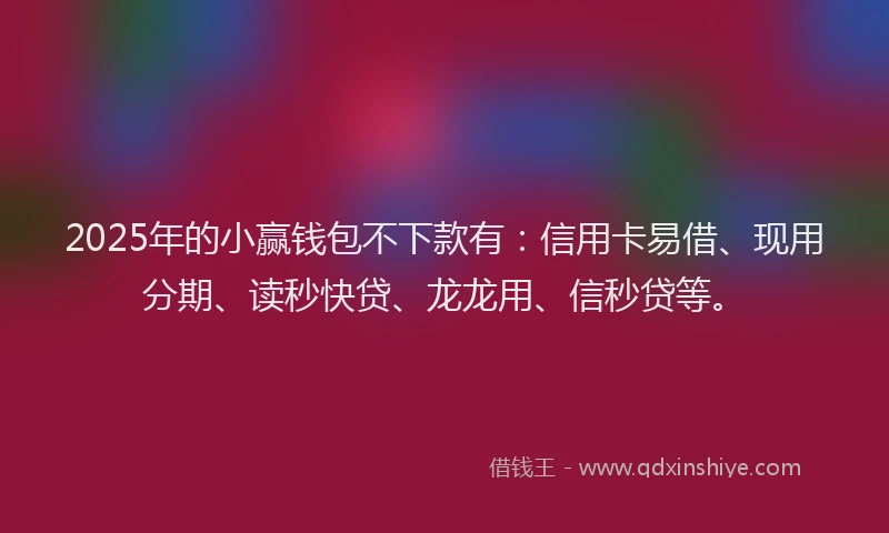 2025年的小赢钱包不下款有：信用卡易借、现用分期、读秒快贷、龙龙用、信秒贷等。