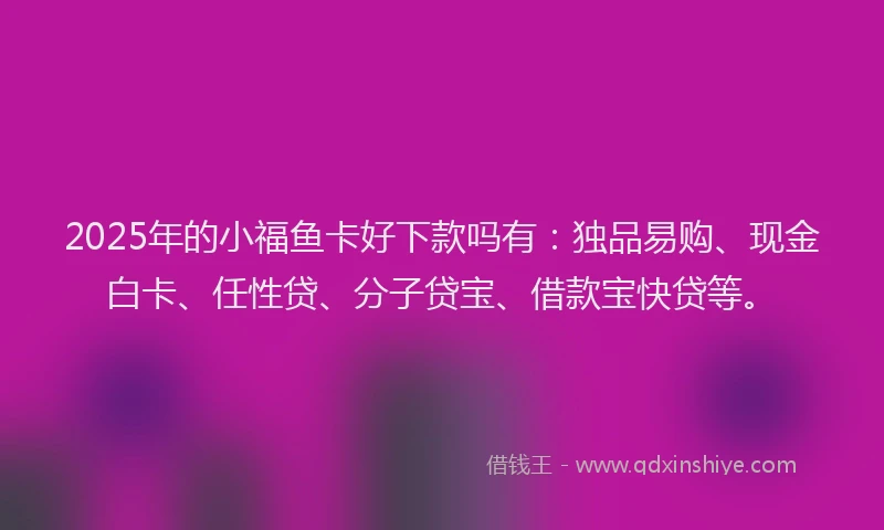 2025年的小福鱼卡好下款吗有：独品易购、现金白卡、任性贷、分子贷宝、借款宝快贷等。