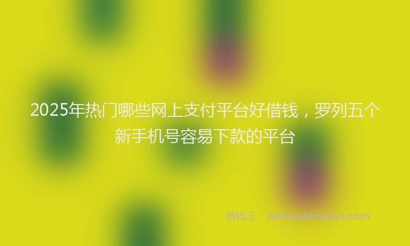 2025年热门哪些网上支付平台好借钱，罗列五个新手机号容易下款的平台