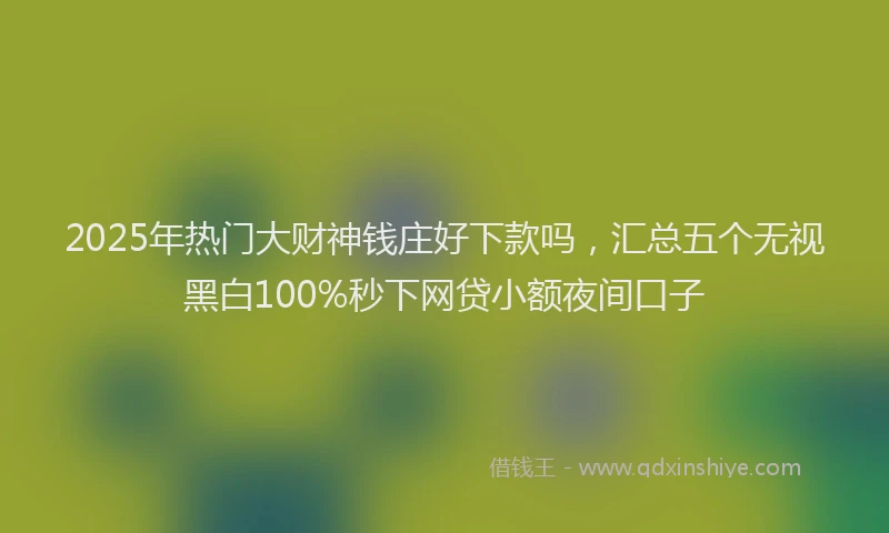 2025年热门大财神钱庄好下款吗，汇总五个无视黑白100%秒下网贷小额夜间口子