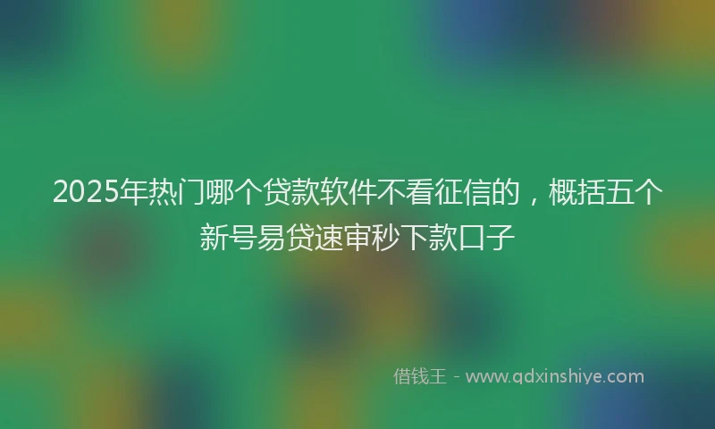 2025年热门哪个贷款软件不看征信的，概括五个新号易贷速审秒下款口子