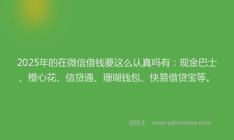 2025年的在微信借钱要这么认真吗有：现金巴士、橙心花、信贷通、珊瑚钱包、快易借贷宝等。