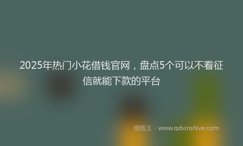 2025年热门小花借钱官网，盘点5个可以不看征信就能下款的平台