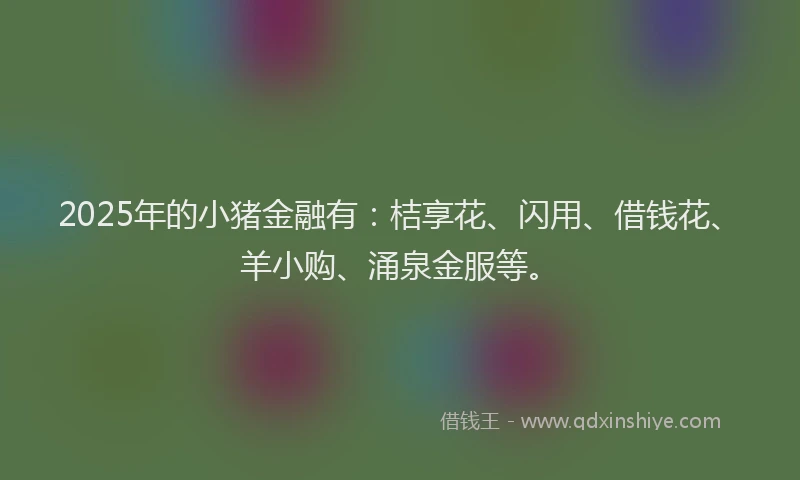 2025年的小猪金融有：桔享花、闪用、借钱花、羊小购、涌泉金服等。