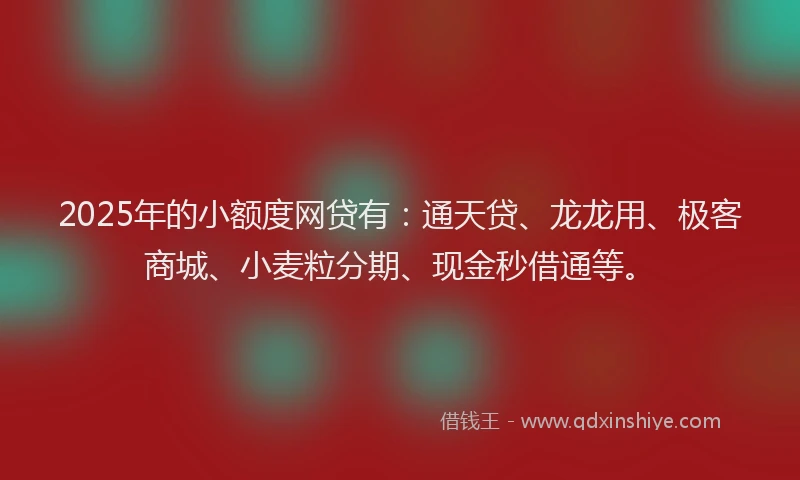 2025年的小额度网贷有：通天贷、龙龙用、极客商城、小麦粒分期、现金秒借通等。