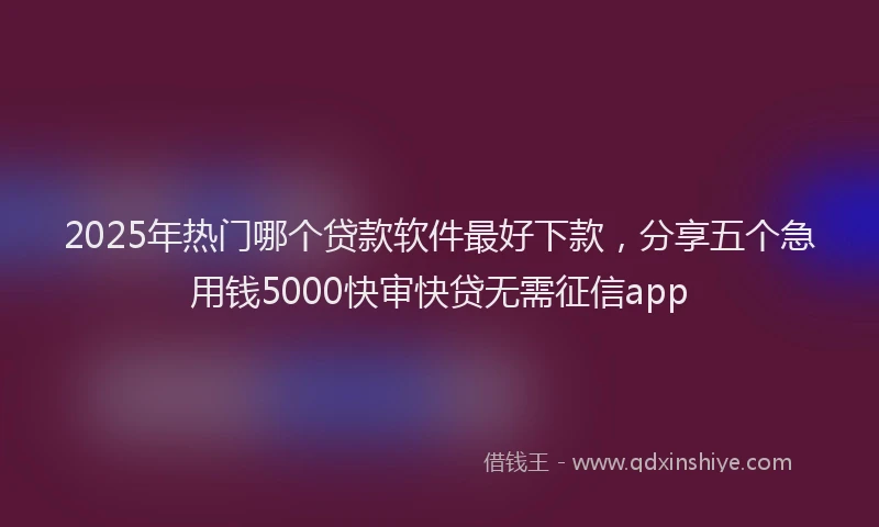 2025年热门哪个贷款软件最好下款，分享五个急用钱5000快审快贷无需征信app