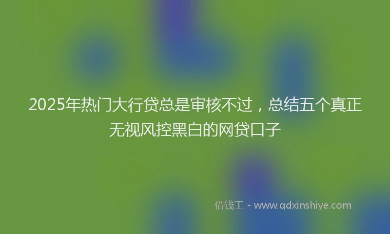 2025年热门大行贷总是审核不过，总结五个真正无视风控黑白的网贷口子