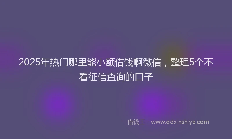 2025年热门哪里能小额借钱啊微信，整理5个不看征信查询的口子