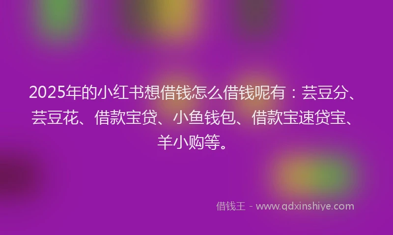 2025年的小红书想借钱怎么借钱呢有:芸豆分、芸豆花、借款宝贷、小鱼钱包、借款宝速贷宝、羊小购等。