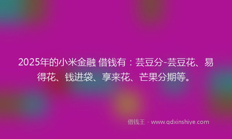 2025年的小米金融 借钱有：芸豆分-芸豆花、易得花、钱进袋、享来花、芒果分期等。