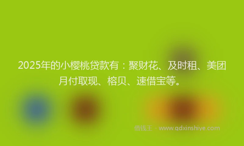 2025年的小樱桃贷款有：聚财花、及时租、美团月付取现、榕贝、速借宝等。