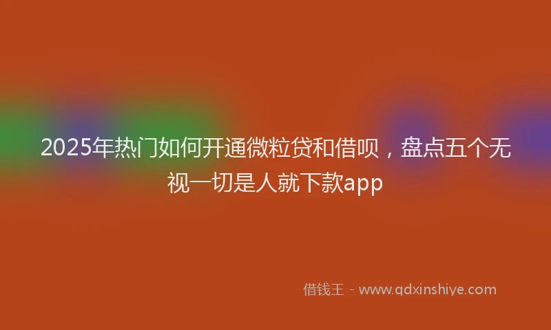 2025年热门如何开通微粒贷和借呗,盘点五个无视一切是人就下款app