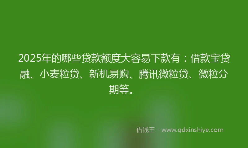 2025年的哪些贷款额度大容易下款有：借款宝贷融、小麦粒贷、新机易购、腾讯微粒贷、微粒分期等。