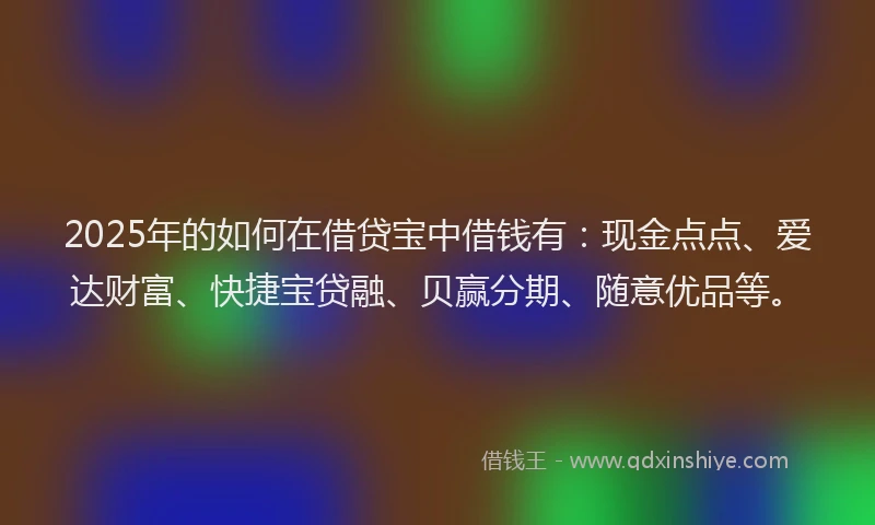 2025年的如何在借贷宝中借钱有：现金点点、爱达财富、快捷宝贷融、贝赢分期、随意优品等。