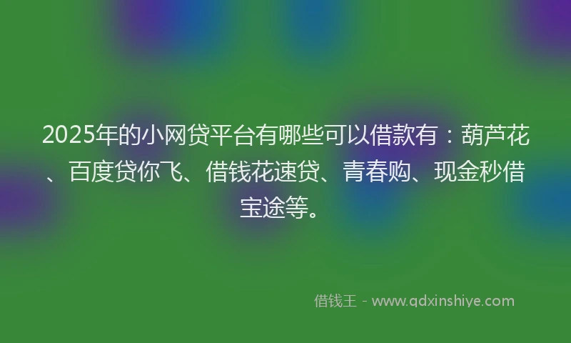 2025年的小网贷平台有哪些可以借款有:葫芦花、百度贷你飞、借钱花速贷、青春购、现金秒借宝途等。