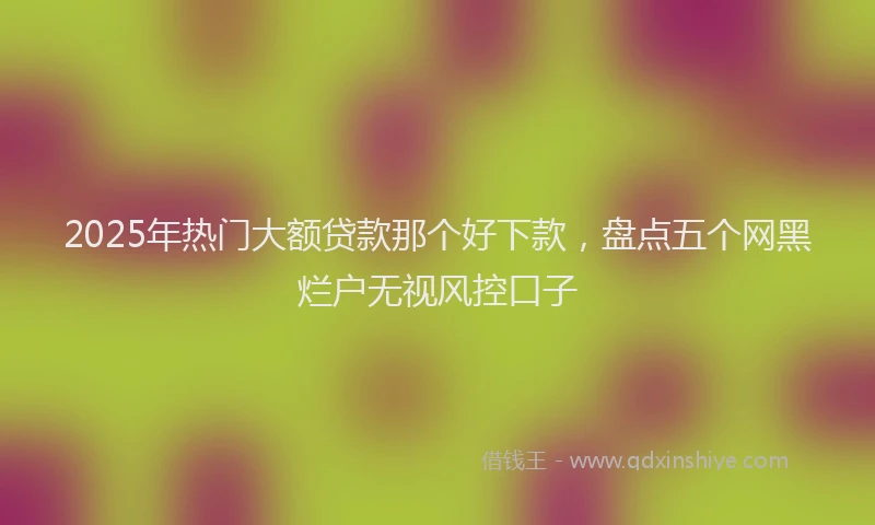 2025年热门大额贷款那个好下款，盘点五个网黑烂户无视风控口子