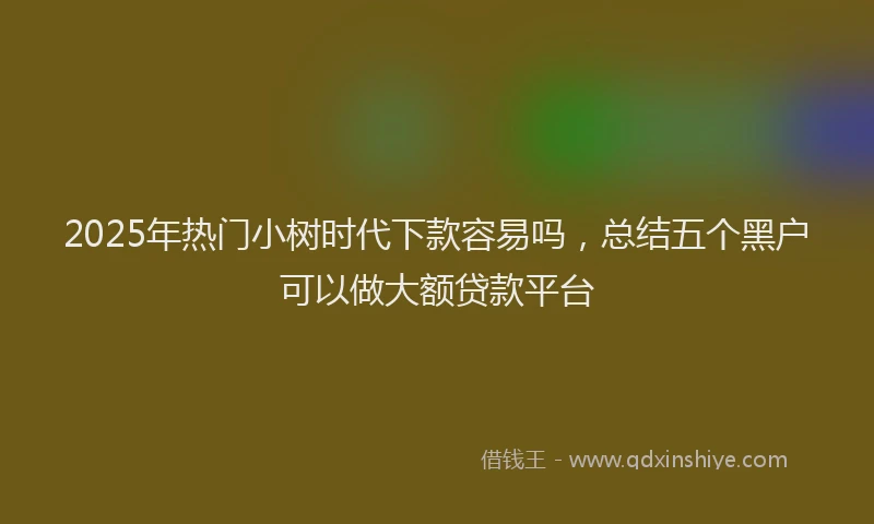 2025年热门小树时代下款容易吗，总结五个黑户可以做大额贷款平台