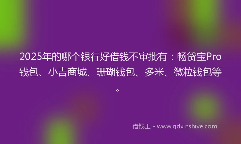 2025年的哪个银行好借钱不审批有：畅贷宝Pro钱包、小吉商城、珊瑚钱包、多米、微粒钱包等。