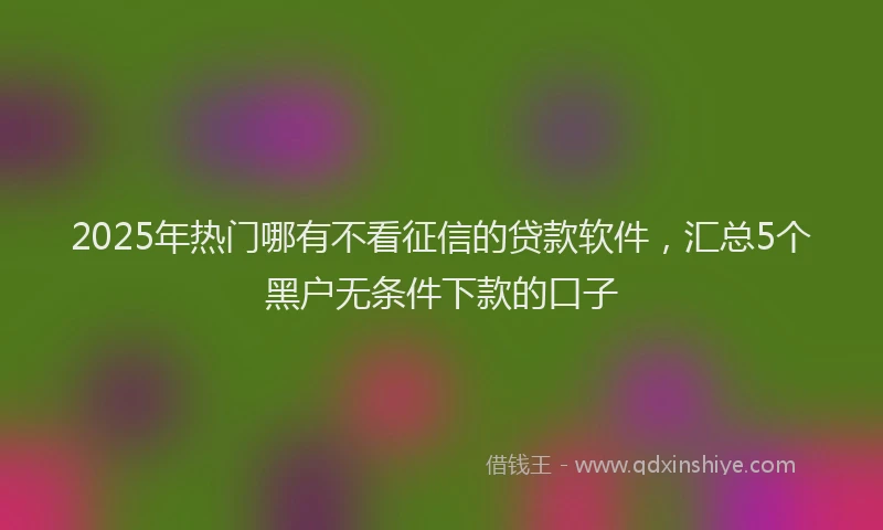 2025年热门哪有不看征信的贷款软件，汇总5个黑户无条件下款的口子