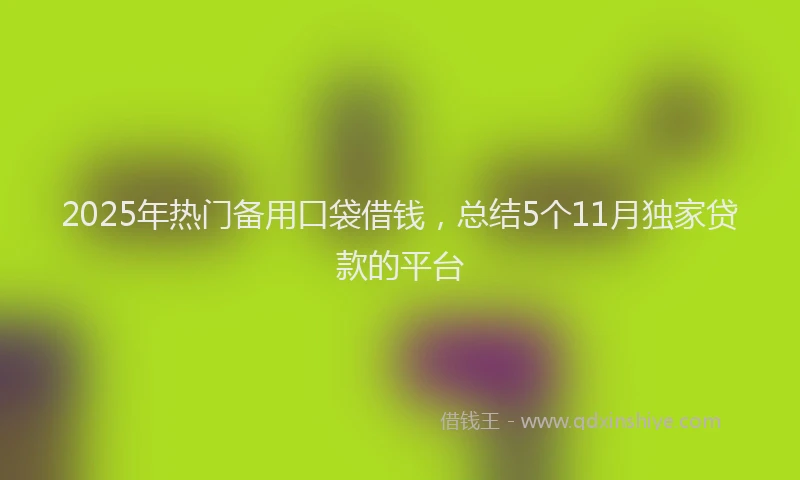 2025年热门备用口袋借钱，总结5个11月独家贷款的平台