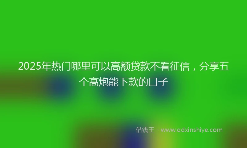 2025年热门哪里可以高额贷款不看征信，分享五个高炮能下款的口子
