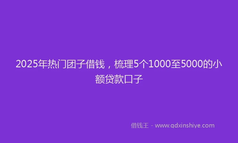 2025年热门团子借钱，梳理5个1000至5000的小额贷款口子