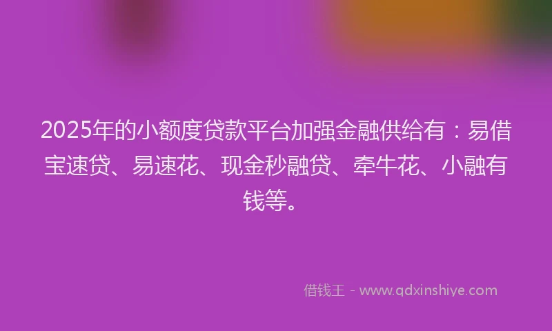 2025年的小额度贷款平台加强金融供给有：易借宝速贷、易速花、现金秒融贷、牵牛花、小融有钱等。