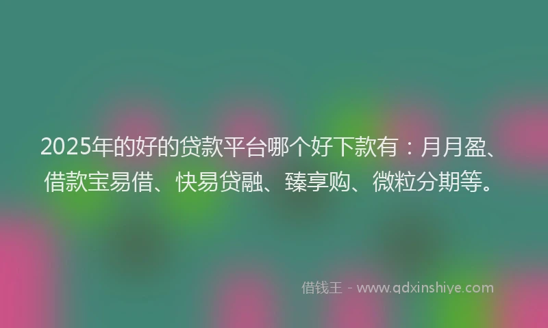 2025年的好的贷款平台哪个好下款有：月月盈、借款宝易借、快易贷融、臻享购、微粒分期等。