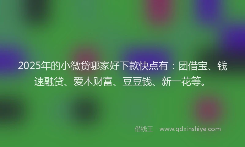 2025年的小微贷哪家好下款快点有：团借宝、钱速融贷、爱木财富、豆豆钱、新一花等。