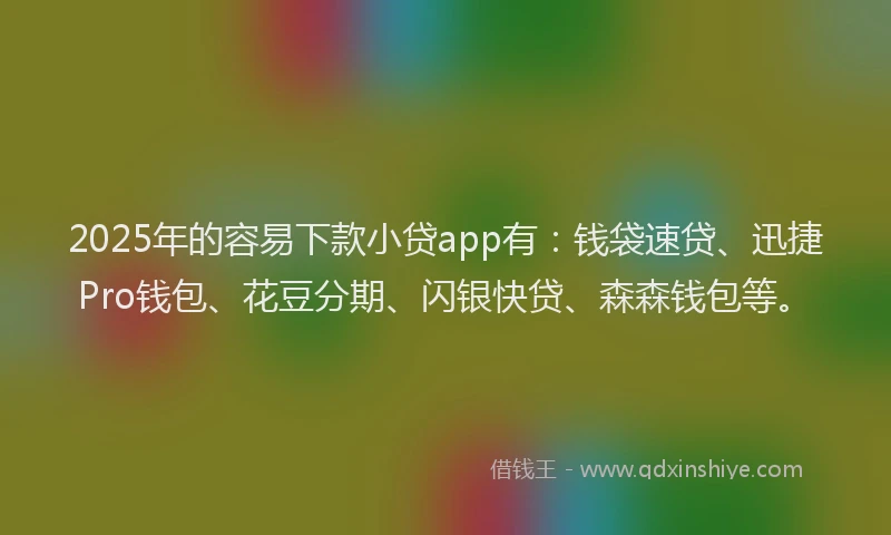 2025年的容易下款小贷app有：钱袋速贷、迅捷Pro钱包、花豆分期、闪银快贷、森森钱包等。