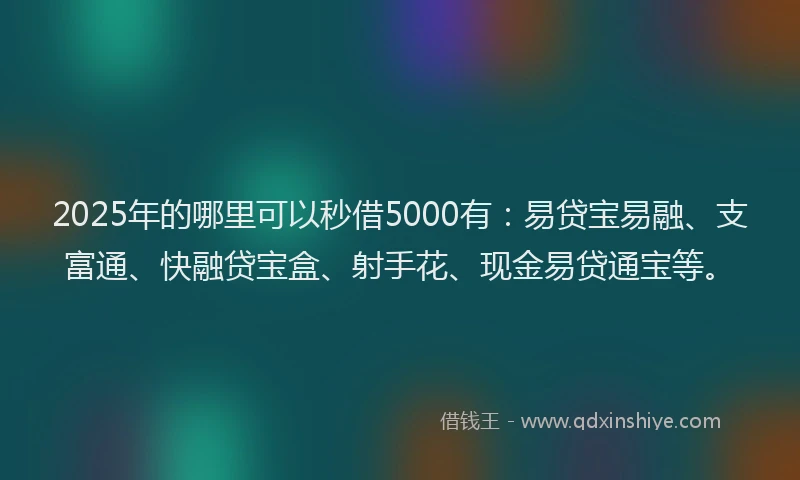 2025年的哪里可以秒借5000有：易贷宝易融、支富通、快融贷宝盒、射手花、现金易贷通宝等。