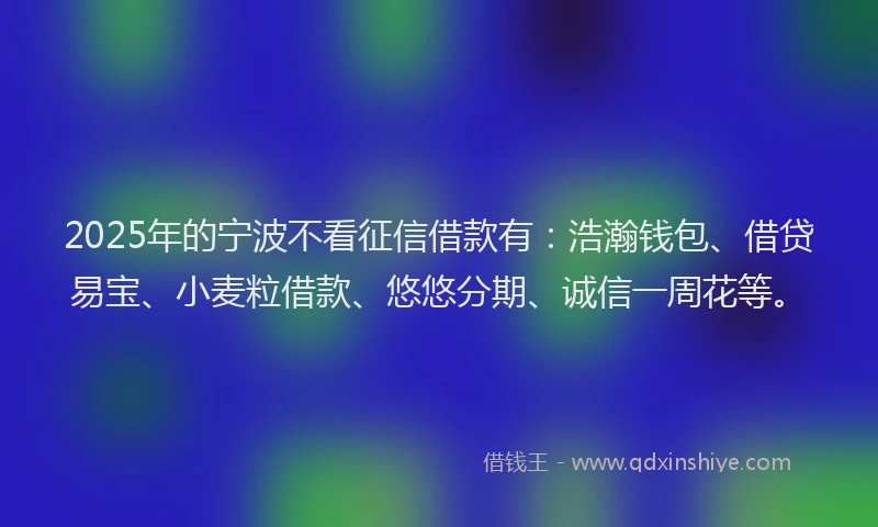 2025年的宁波不看征信借款有：浩瀚钱包、借贷易宝、小麦粒借款、悠悠分期、诚信一周花等。