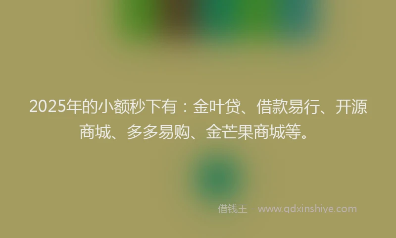 2025年的小额秒下有：金叶贷、借款易行、开源商城、多多易购、金芒果商城等。