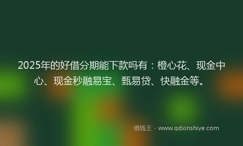2025年的好借分期能下款吗有：橙心花、现金中心、现金秒融易宝、甄易贷、快融金等。